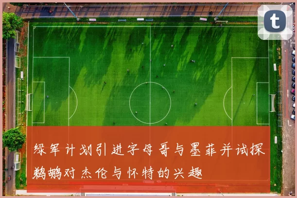 绿军计划引进字母哥与墨菲并试探鹈鹕对杰伦与怀特的兴趣