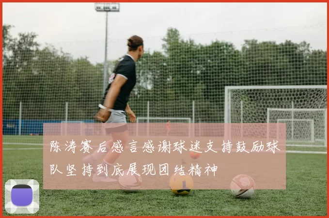 陈涛赛后感言感谢球迷支持鼓励球队坚持到底展现团结精神