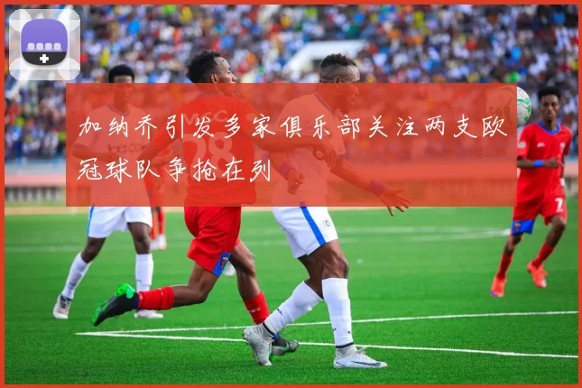 加纳乔引发多家俱乐部关注两支欧冠球队争抢在列