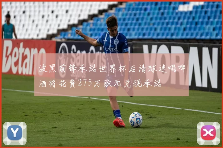 波黑前锋承诺世界杯后请球迷喝啤酒将花费275万欧元兑现承诺