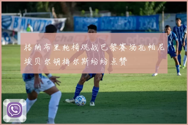 格纳布里轮椅观战巴黎赛场孔帕尼埃贝尔胡梅尔斯纷纷点赞