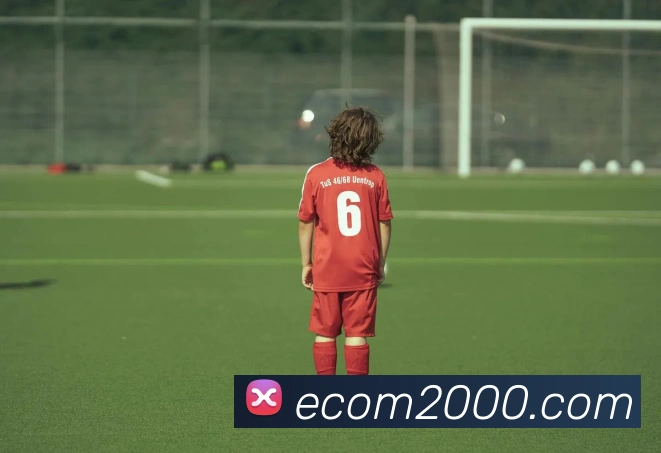 ecom2000 website preview